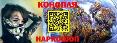 индика Лесосибирск