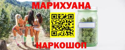 индика Лесосибирск