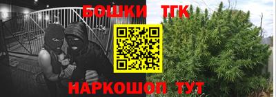 индика Лесосибирск