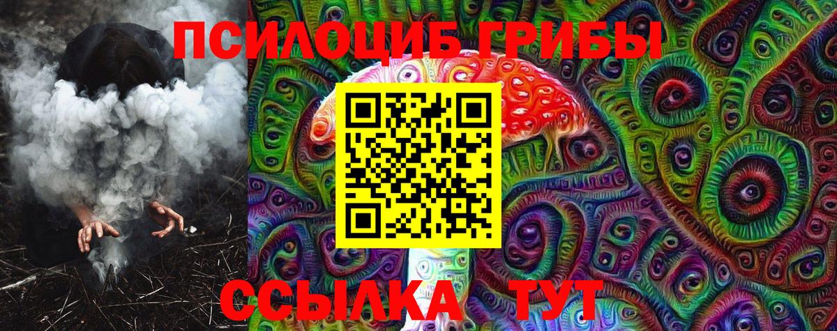 Югорск  сколько стоит  Псилоцибиновые грибы Psilocybine cubensis  Вход с VPN  Псилоцибиновые грибы прущие грибы 